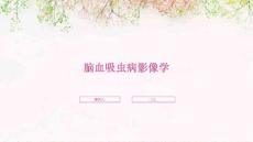 脑血吸虫病影像学