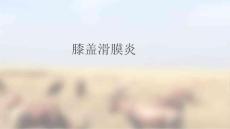 膝盖滑膜炎