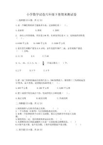 小學數學試卷六年級下冊期末測試卷(名校卷)