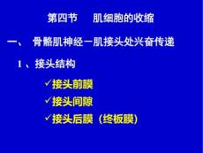 细胞生理学-肌肉收缩