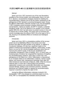 外源性NEP1-40对大鼠脊髓半切损伤后修复的影响