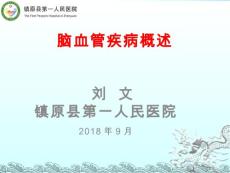 脑血管病概述