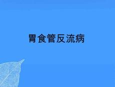 胃食管反流病 PPT