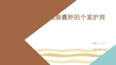 皮脂腺囊肿的个案护理ppt