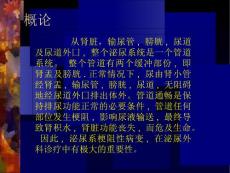 泌尿系梗阻尿路梗阻.ppt