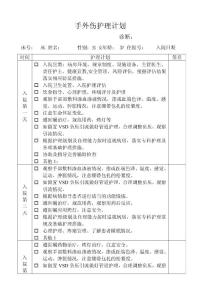 手外伤护理计划