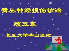 臂丛神经损伤诊治