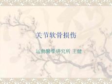 关节软骨损伤讲课