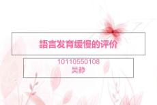 语言发育迟缓的评估