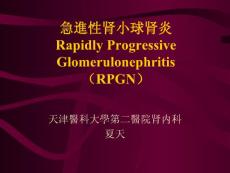 急进性肾小球肾炎