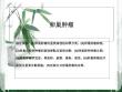 卵巢肿瘤课件