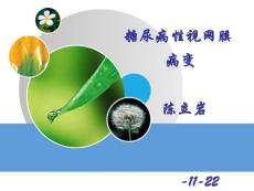 糖尿病性视网膜病变