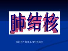 肺结核完整
