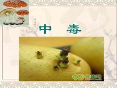 食物中毒案例