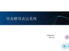 畢赤酵母表達系統