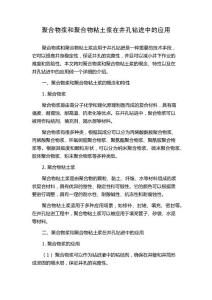 聚合物浆和聚合物粘土浆在井孔钻进中的应用