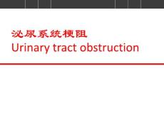 ·外科学课件 泌尿系统梗阻 尿路梗阻