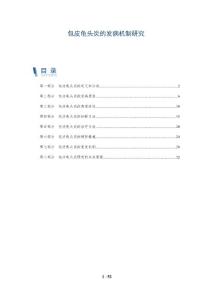 包皮龟头炎的发病机制研究