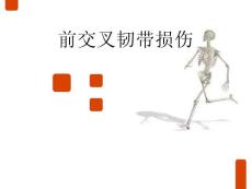 前交叉韧带损伤