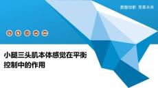 小腿三头肌本体感觉在平衡控制中的作用