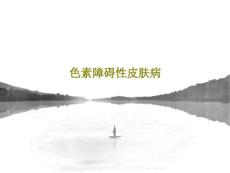 色素障碍性皮肤病共32页【32页】