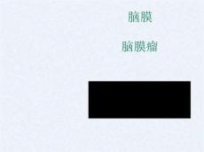 脑膜脑膜瘤【42页】