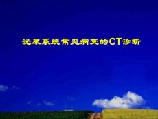 泌尿生殖系統(tǒng)CT診斷ppt課件