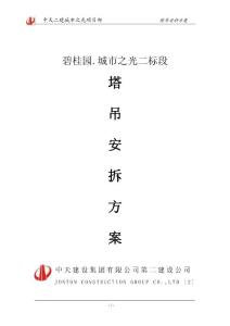 塔吊安、拆方案