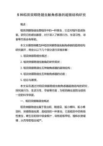 5种稻田突眼隐翅虫触角感器的超微结构研究