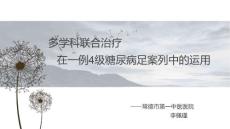 糖尿病足个案护理 糖尿病足个案的护理【26页】