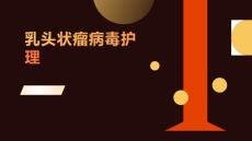 乳头状瘤病毒护理