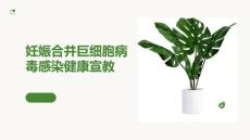 妊娠合并巨细胞病毒感染健康宣教