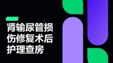 肾输尿管损伤修复术后护理查房