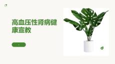 高血压性肾病健康宣教