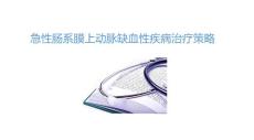 急性肠系膜上动脉缺血性疾病治疗策略2024PPT