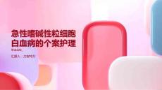急性嗜碱性粒细胞白血病的个案护理