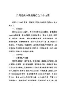 公司組織體系提升行動工作方案