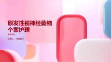 原发性视神经萎缩个案护理