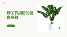 膝关节损伤的健康宣教