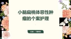 小脑扁桃体恶性肿瘤的个案护理