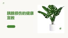 胰腺损伤的健康宣教