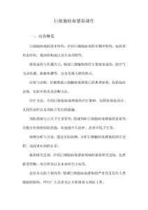 巨细胞病毒感染课件