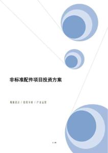 非標準配件項目投資方案