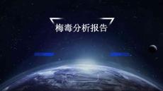 梅毒分析报告