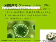 人巨细胞病毒感染专家讲座