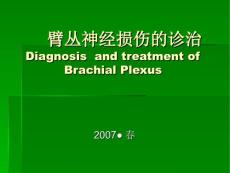 臂丛神经损伤的诊治-课件