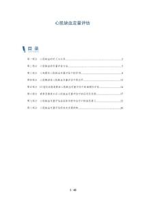 心肌缺血定量评估