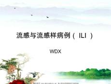 流感与流感样病例【44页】
