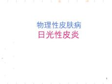 日光性皮炎【20页】