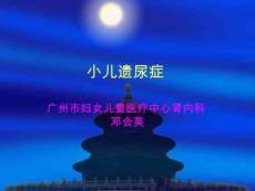 小儿遗尿症【35页】